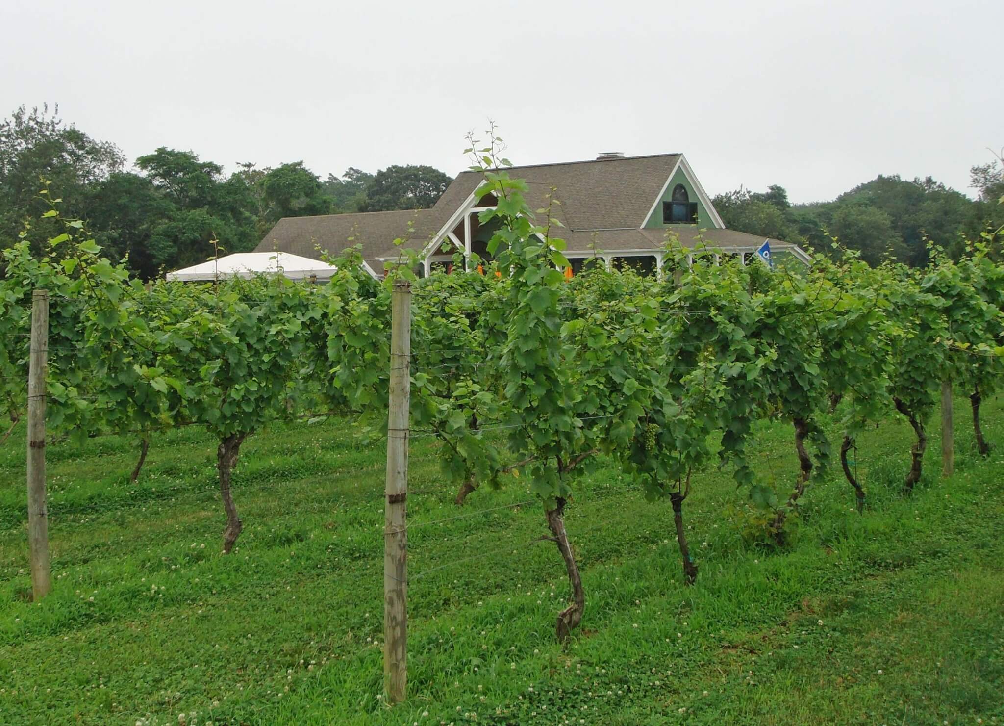 Long Island Wine Trail