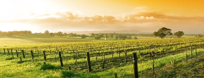LI Vineyards - Winery List