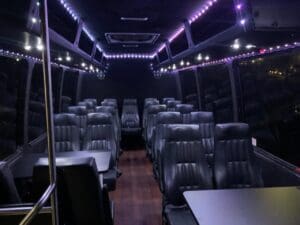 Executive Bus Transportation Interior - LI Vineyard Tours