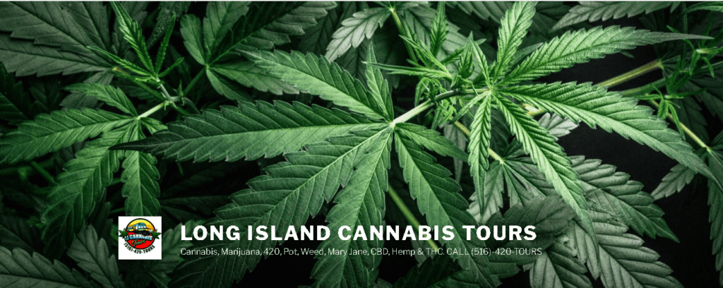LI Cannabis Tours - LI Vineyard Tours aka Long Island Vineyard Tours