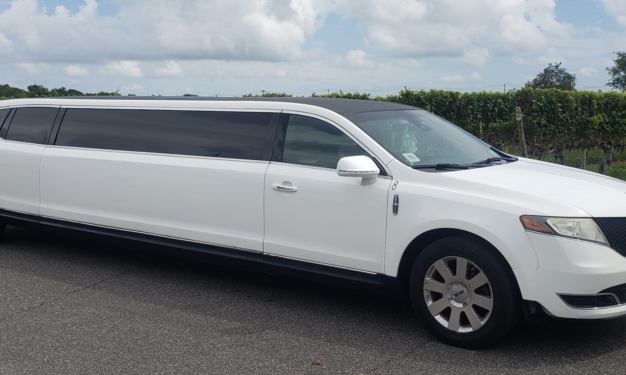 Luxury Limo's, Sprinter Vans & Party Buses - Long Island Vineyard Tours