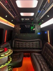Mercedes Benz Sprinter Party Van Interior - LI Vineyard Tours