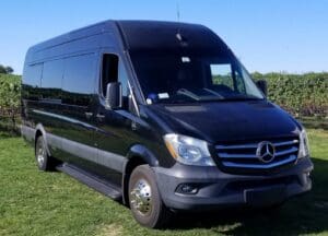 Mercedes Benz Sprinter Party Van - Long Island Vineyard Tours aka LI Vineyard Tours