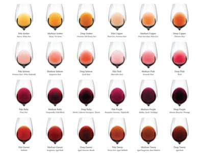 Wine Visual Chart Long Island
