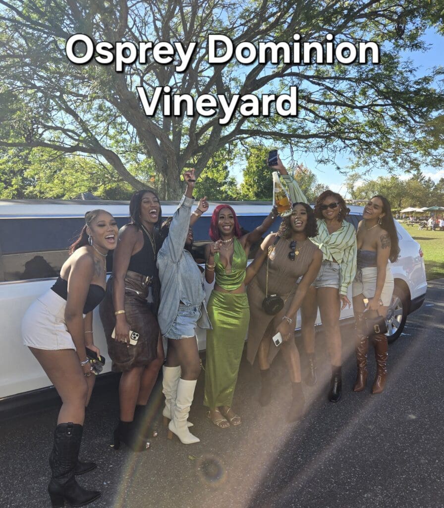 Wine Tasting Tour provided by LI Vineyard Tours of Long Island NY & NYC